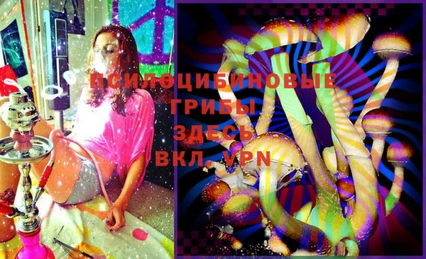 прущий лед Елизово