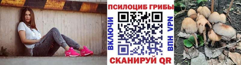 Псилоцибиновые грибы Magic Shrooms  Калязин 